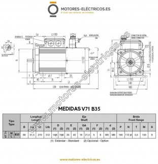 MOTOR VECTORIAL PROTECION...