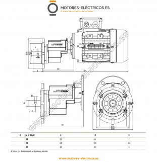 copy of REDUCTOR PARA...